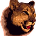 Link to Colchester Middle School website