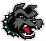 Link to Hinesburg Community School website