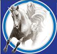 Link to Randolph website