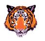 Link to Middlebury website
