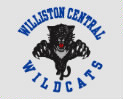 Link to Williston Central School website